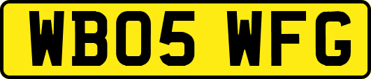 WB05WFG