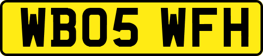 WB05WFH