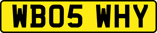 WB05WHY