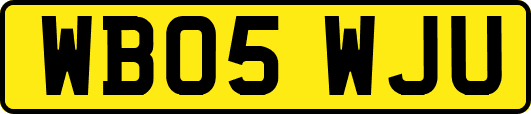 WB05WJU