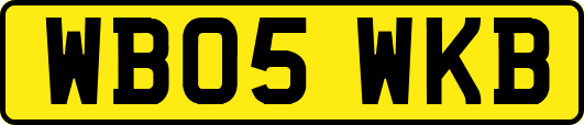 WB05WKB