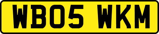 WB05WKM