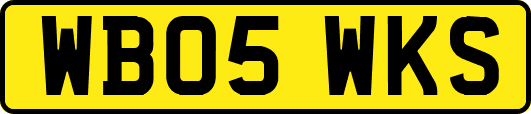 WB05WKS