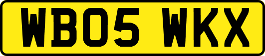 WB05WKX