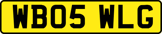 WB05WLG