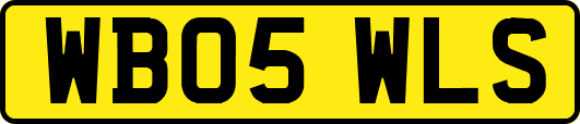 WB05WLS
