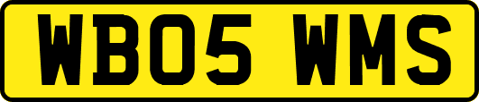 WB05WMS