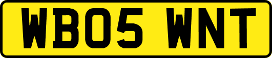 WB05WNT