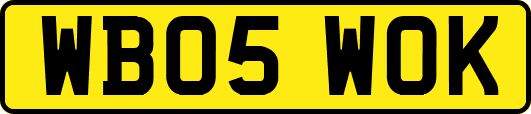 WB05WOK