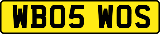 WB05WOS
