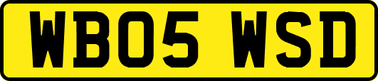 WB05WSD
