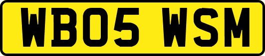 WB05WSM