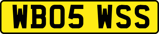 WB05WSS