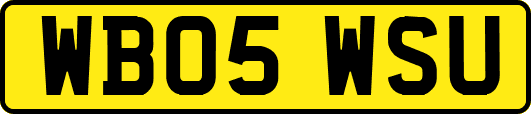 WB05WSU