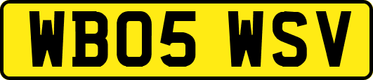 WB05WSV