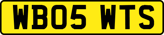 WB05WTS