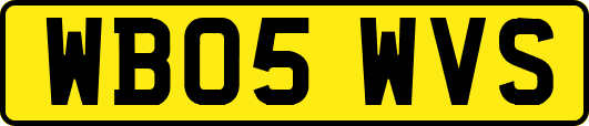 WB05WVS