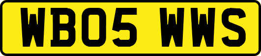 WB05WWS