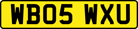 WB05WXU