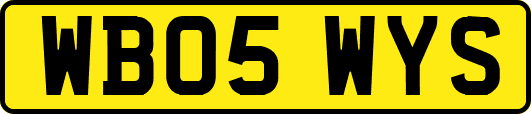 WB05WYS