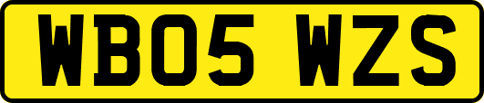WB05WZS