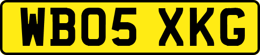 WB05XKG