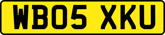 WB05XKU