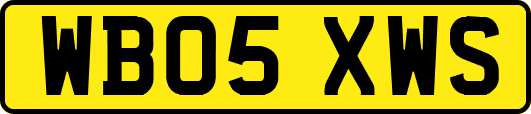 WB05XWS