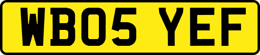 WB05YEF