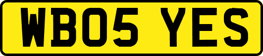 WB05YES