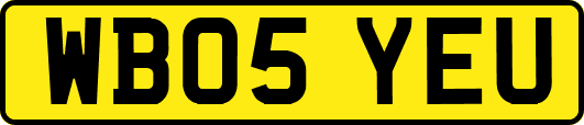 WB05YEU