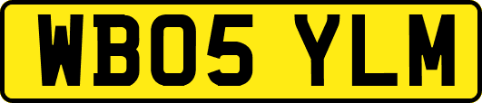 WB05YLM