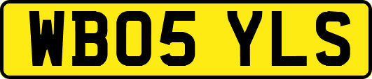 WB05YLS