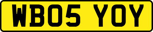 WB05YOY