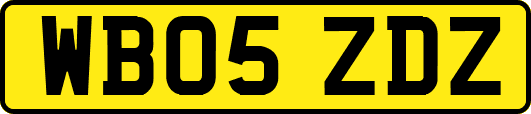 WB05ZDZ