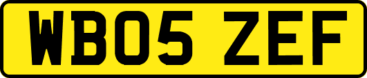 WB05ZEF
