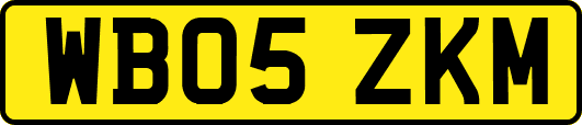WB05ZKM
