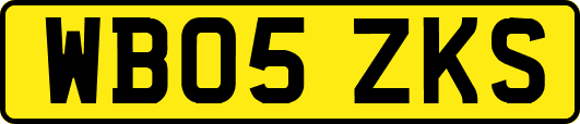 WB05ZKS