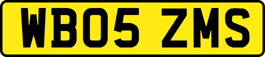 WB05ZMS