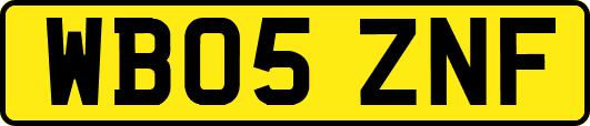 WB05ZNF