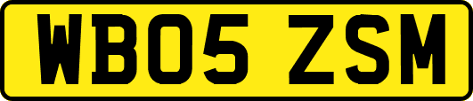 WB05ZSM