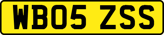 WB05ZSS