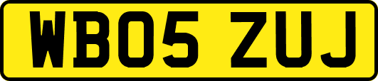 WB05ZUJ