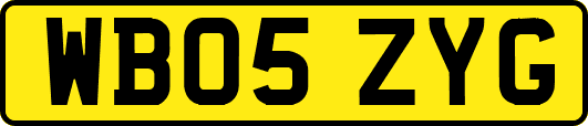 WB05ZYG