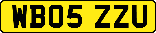 WB05ZZU