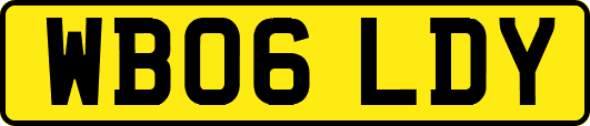 WB06LDY