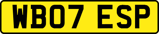 WB07ESP