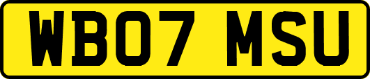 WB07MSU