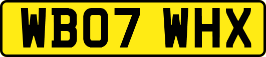 WB07WHX