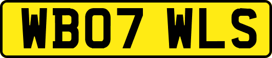 WB07WLS